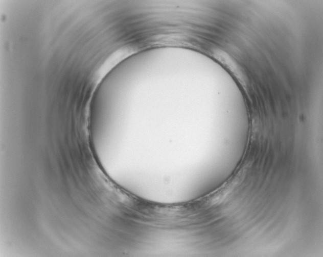 X0000088171386200706051105