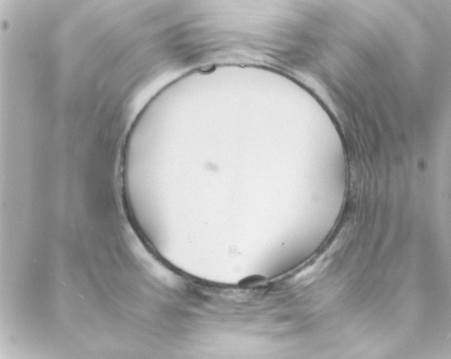 X0000088171387200706051105