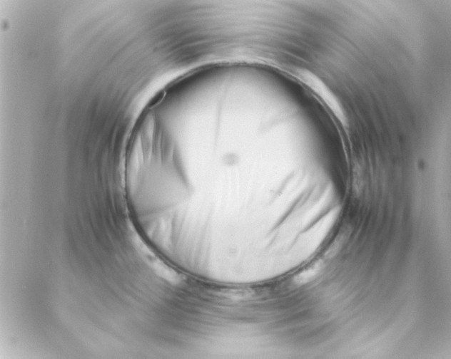 X0000088171388200706051105