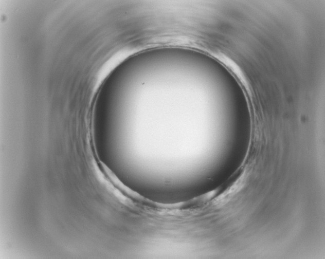 X0000088171389200706051105