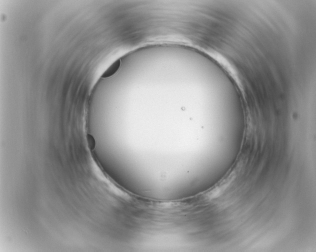 X0000088171390200706051105