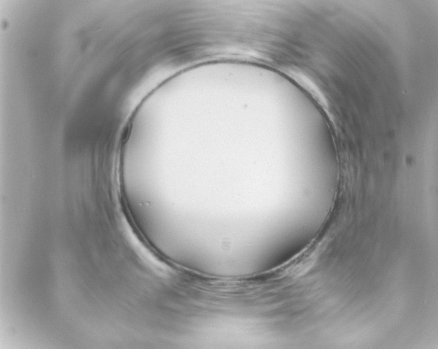 X0000088171391200706051105