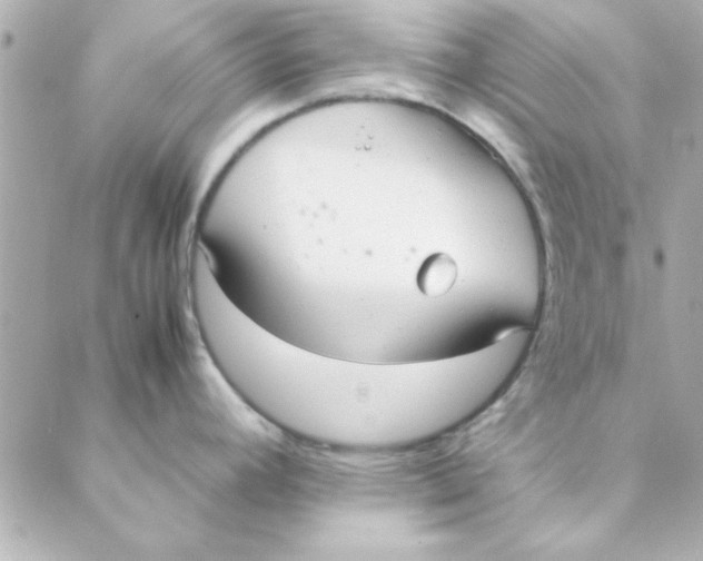 X0000088171392200706051105