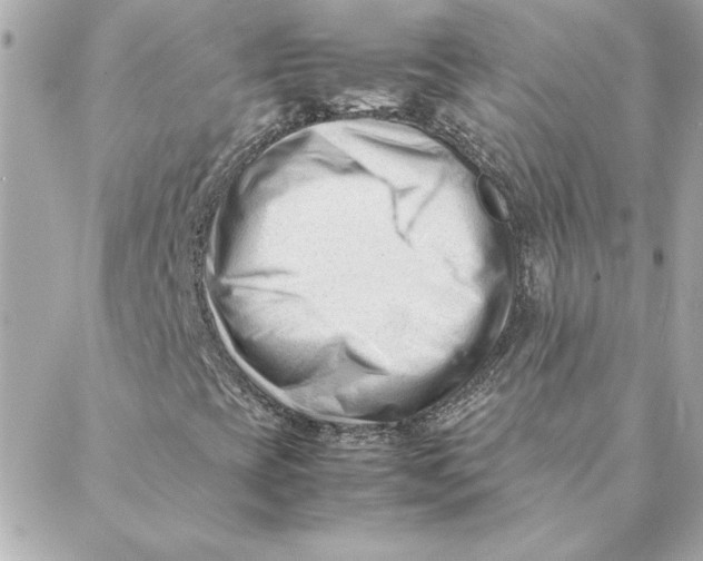 X0000088171393200706051105