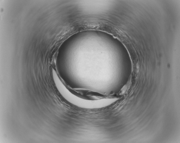 X0000088171394200706051105