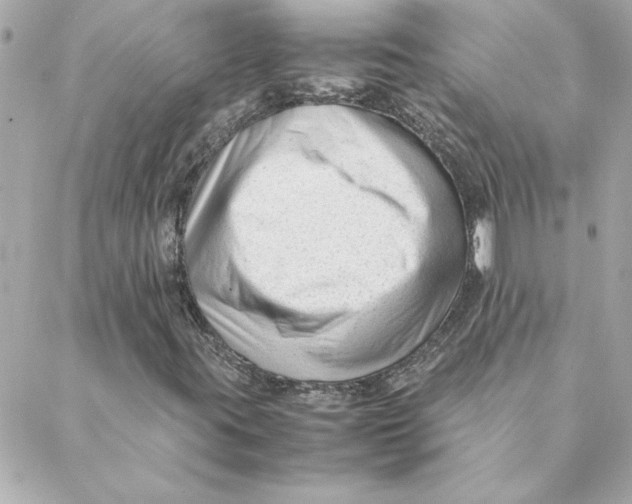 X0000088171395200706051105