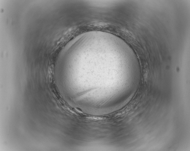 X0000088171397200706051105