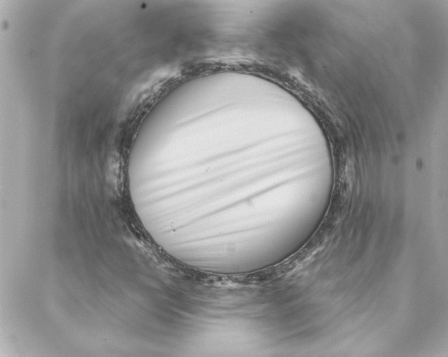 X0000088171398200706051105