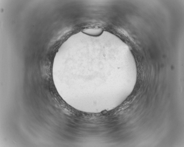 X0000088171399200706051105