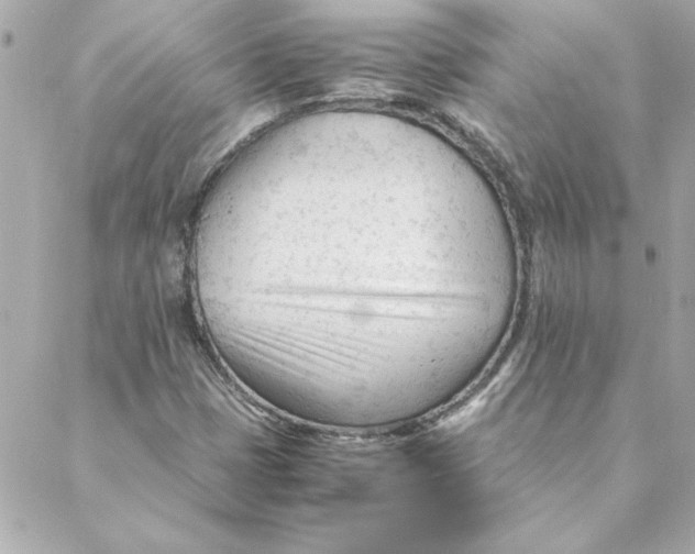 X0000088171401200706051105