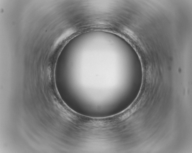 X0000088171402200706051105