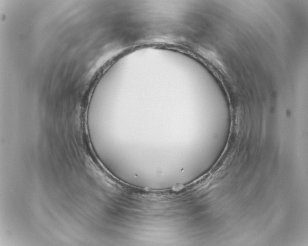 X0000088171404200706051105