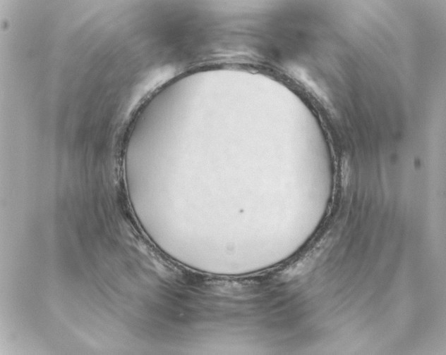 X0000088171405200706051105