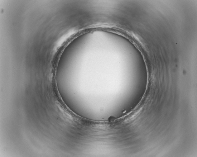 X0000088171406200706051105