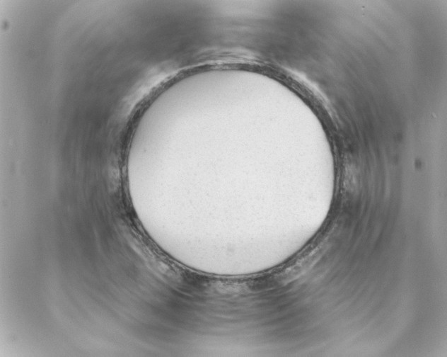 X0000088171407200706051105