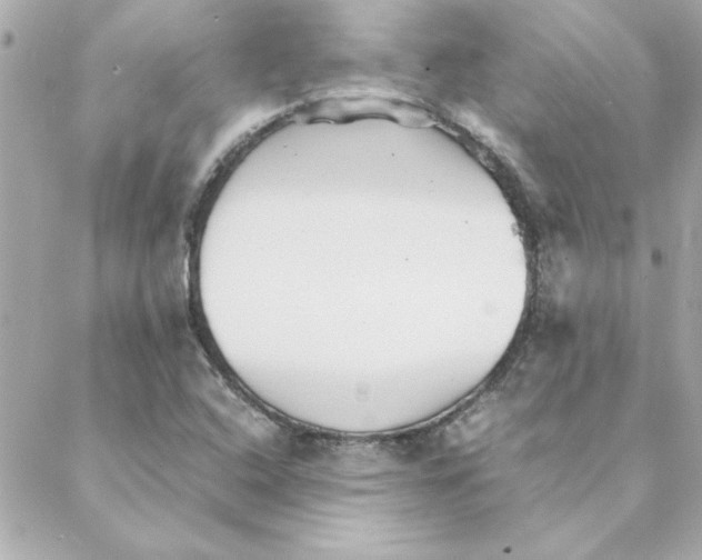 X0000088171408200706051105