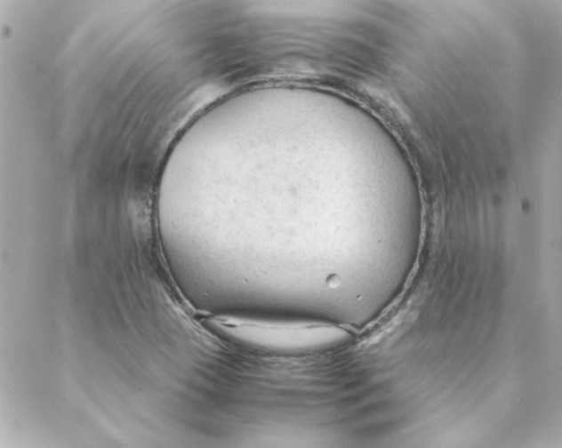 X0000088171409200706051105