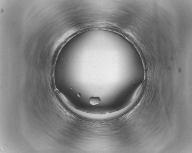 X0000088171410200706051105