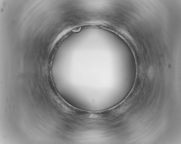 X0000088171412200706051105