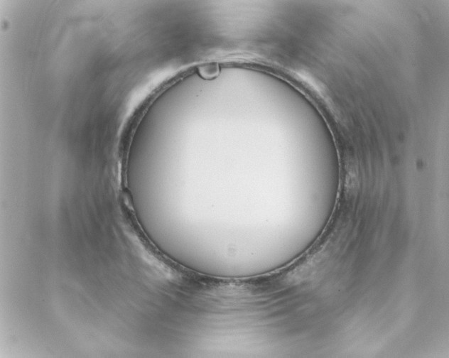 X0000088171414200706051105