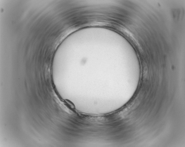 X0000088171417200706051105