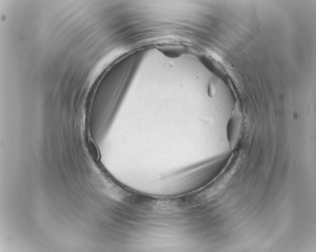 X0000088171418200706051105