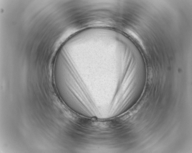 X0000088171419200706051105