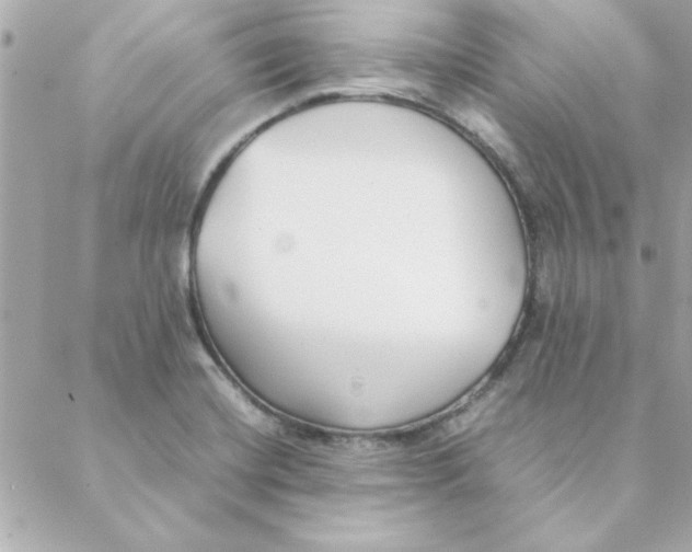 X0000088171420200706051105