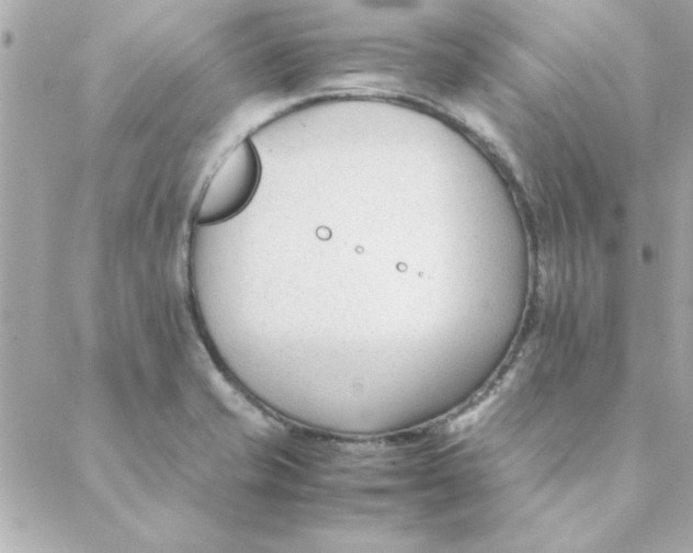 X0000088171421200706051105