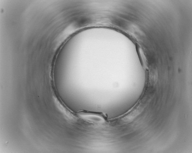 X0000088171422200706051105