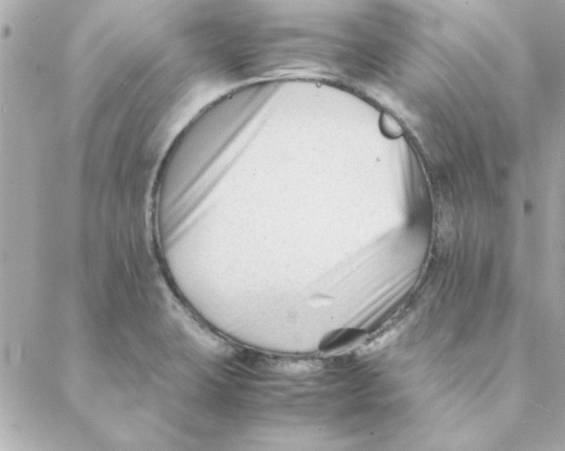 X0000088171423200706051105