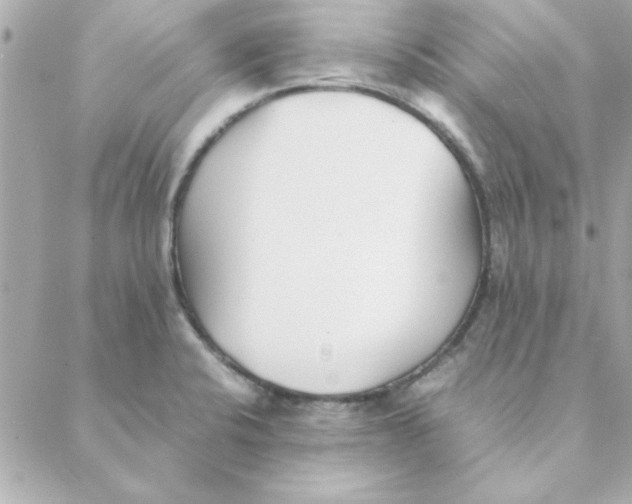 X0000088171424200706051105