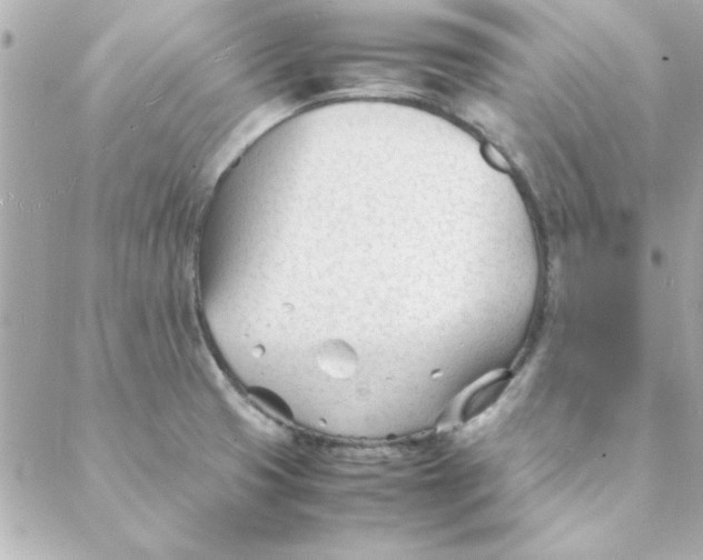 X0000088171425200706051105