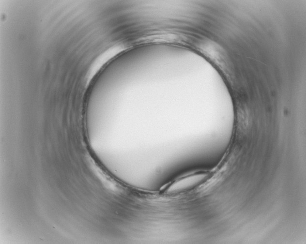 X0000088171426200706051105