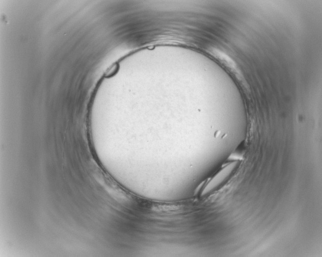 X0000088171427200706051105