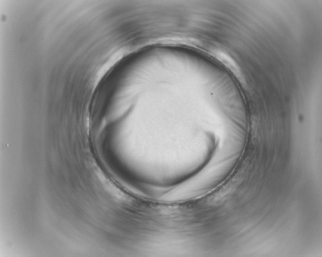 X0000088171428200706051105