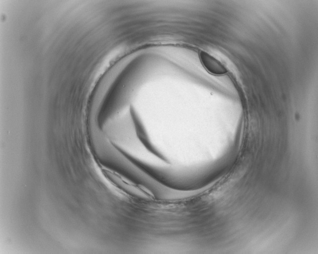 X0000088171429200706051105