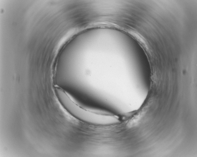 X0000088171430200706051105