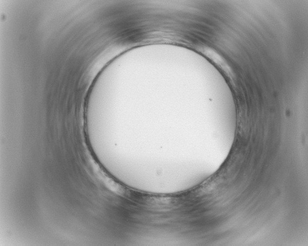 X0000088171431200706051105