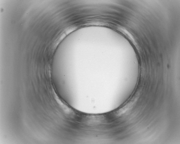 X0000088171433200706051105