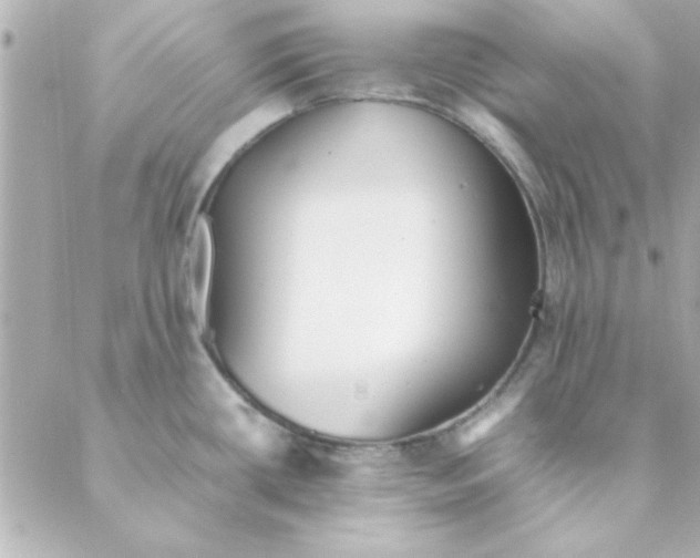 X0000088171434200706051105