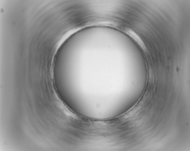 X0000088171436200706051105