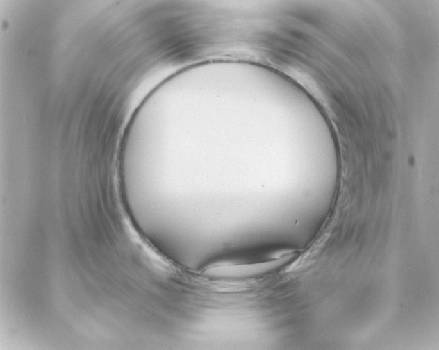 X0000088171440200706051105