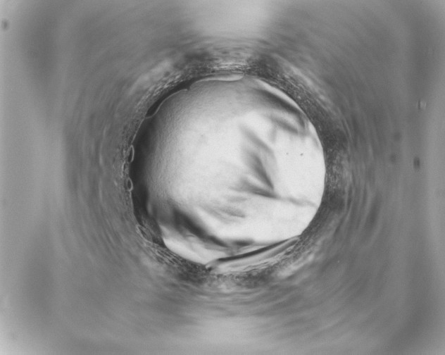 X0000088171441200706051104