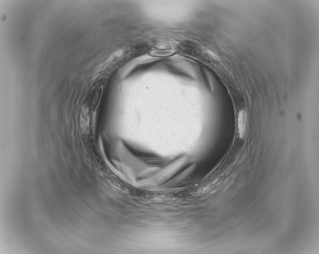 X0000088171443200706051104