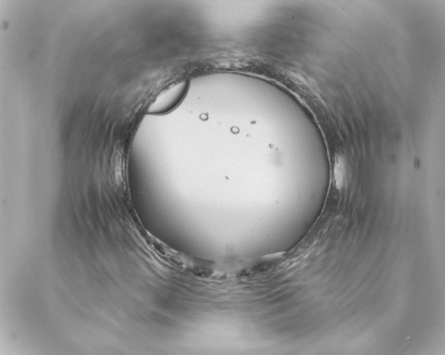 X0000088171444200706051104