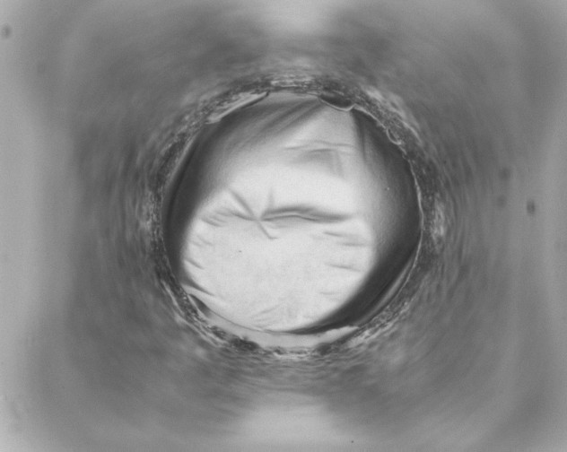 X0000088171445200706051104