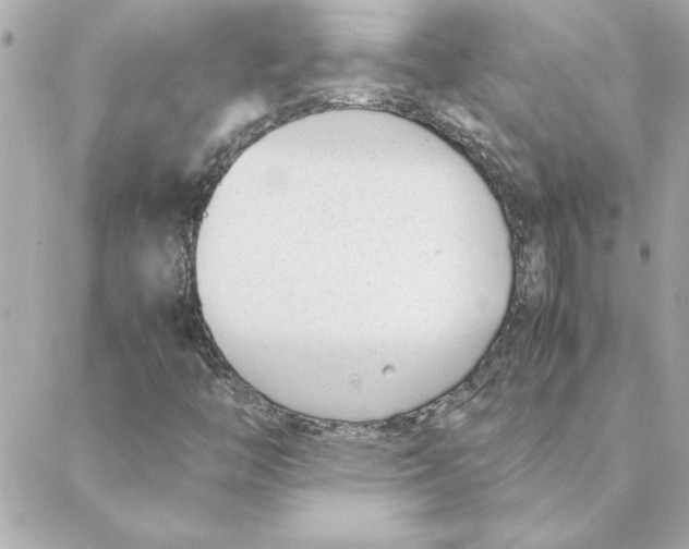 X0000088171446200706051104