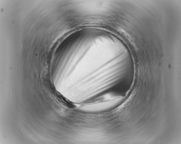 X0000088171449200706051104