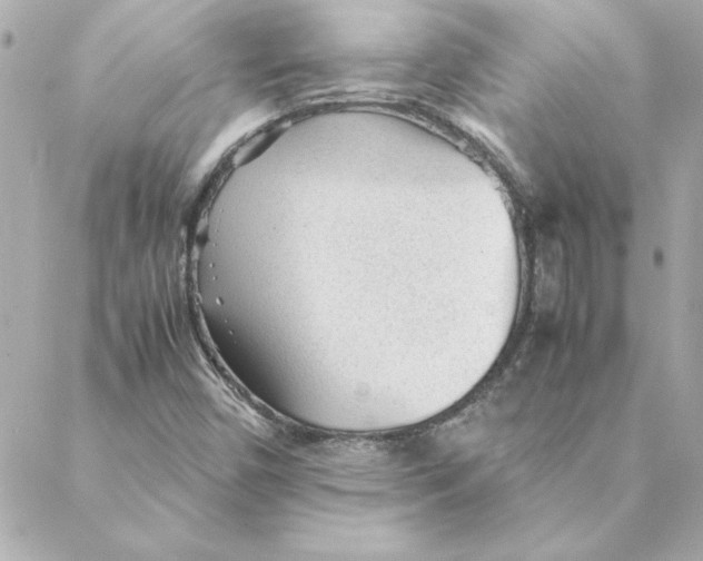 X0000088171450200706051104